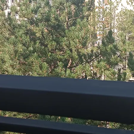 Mina Zlatibor